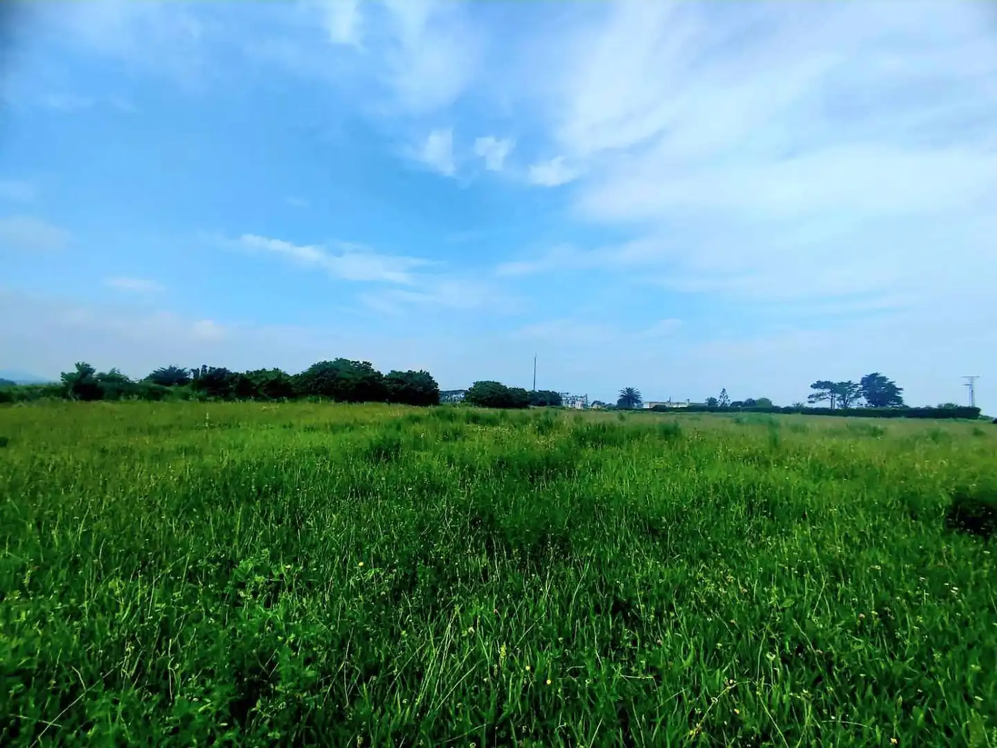 Residential land for sale in Lugar La Marina, imagen 9