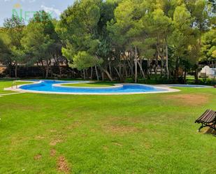 Swimming pool of Apartment for sale in Orihuela