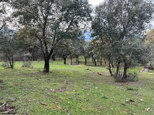 Terreno en venta en Almendral de la Cañada, Toledo