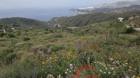 Foto 5 de Finca rústica en venta en Monte los Almendros - El Pargo - Costa Aguilera, Salobreña