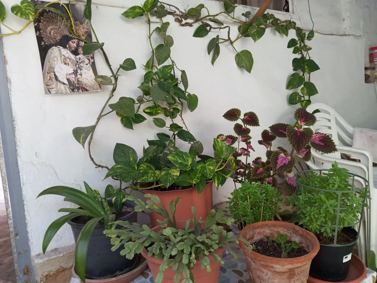 Terrassa de Casa o xalet en venda en Tavernes Blanques amb Jardí privat