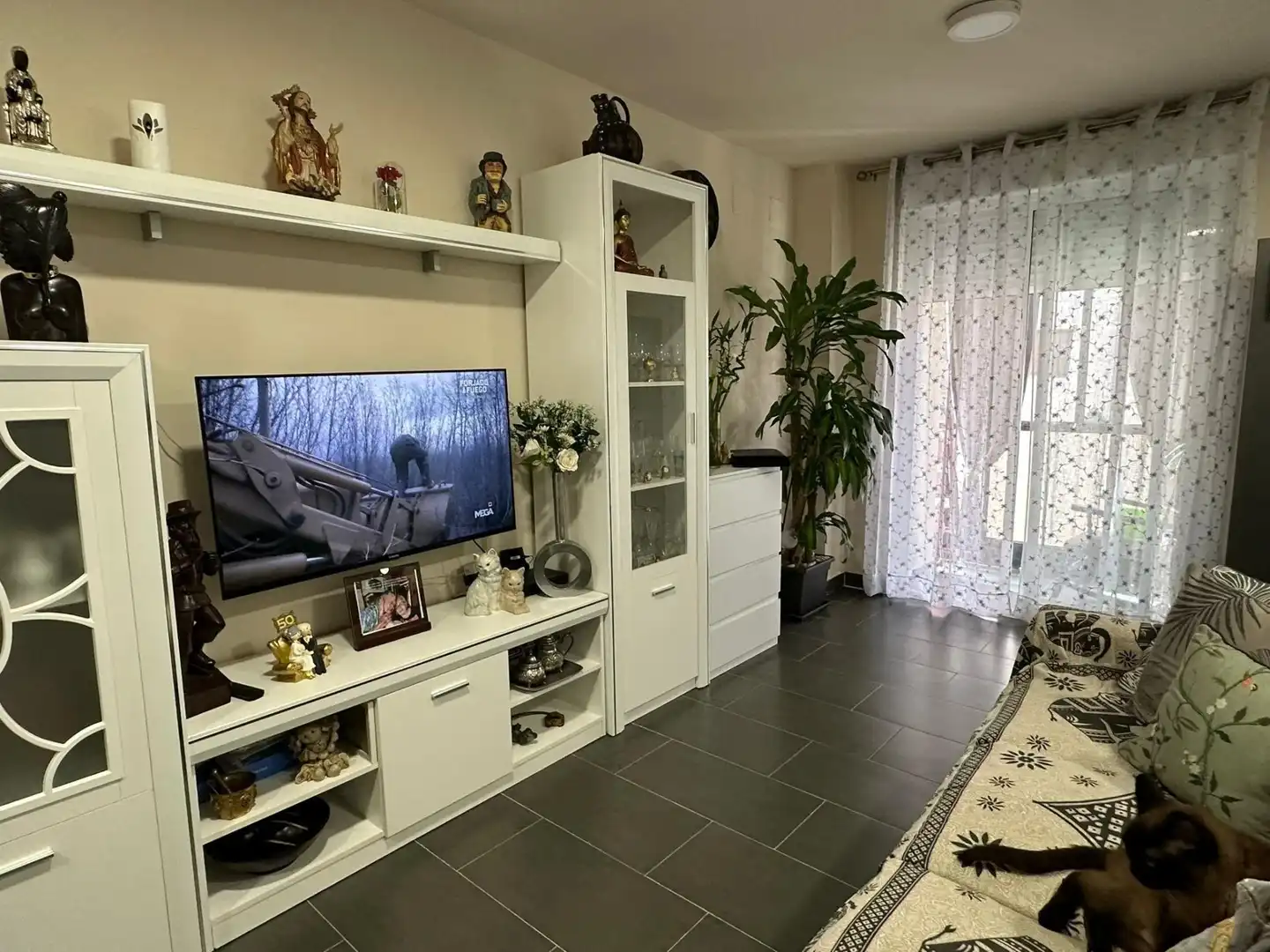 Appartamento con terrazza in vendita a Pueblo, imagen 13