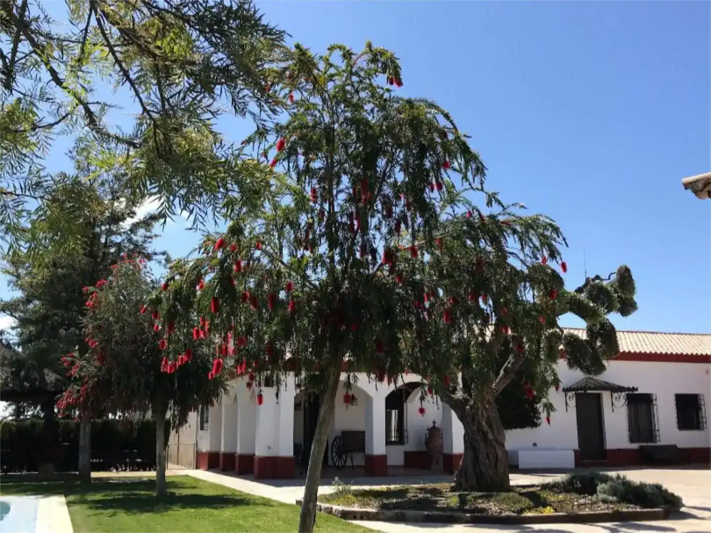 Jardí de Pis en venda en Rinconada