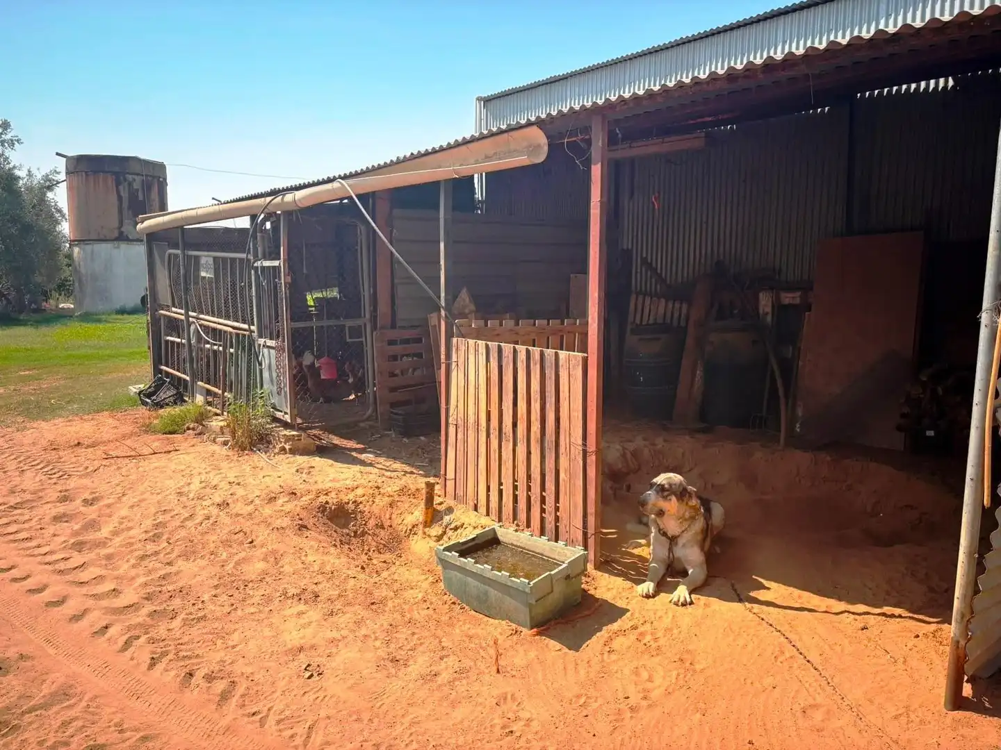 Vista exterior de Finca rústica en venda en Huévar del Aljarafe amb Jardí privat, Traster i Piscina