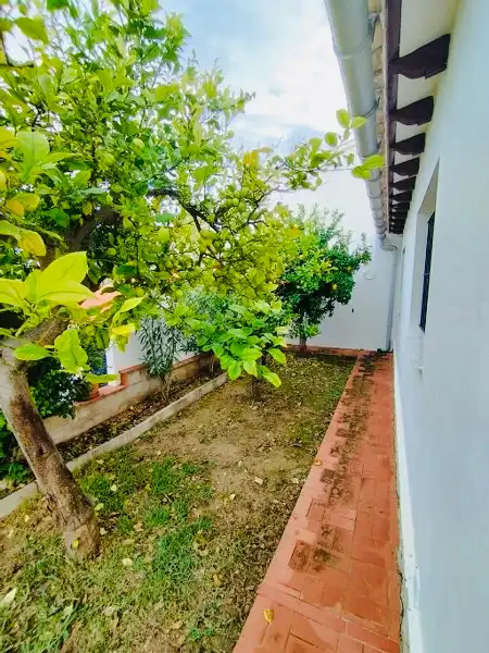 Garden of Houses for sale in Dénia  with Air Conditioner, Heating and Private garden