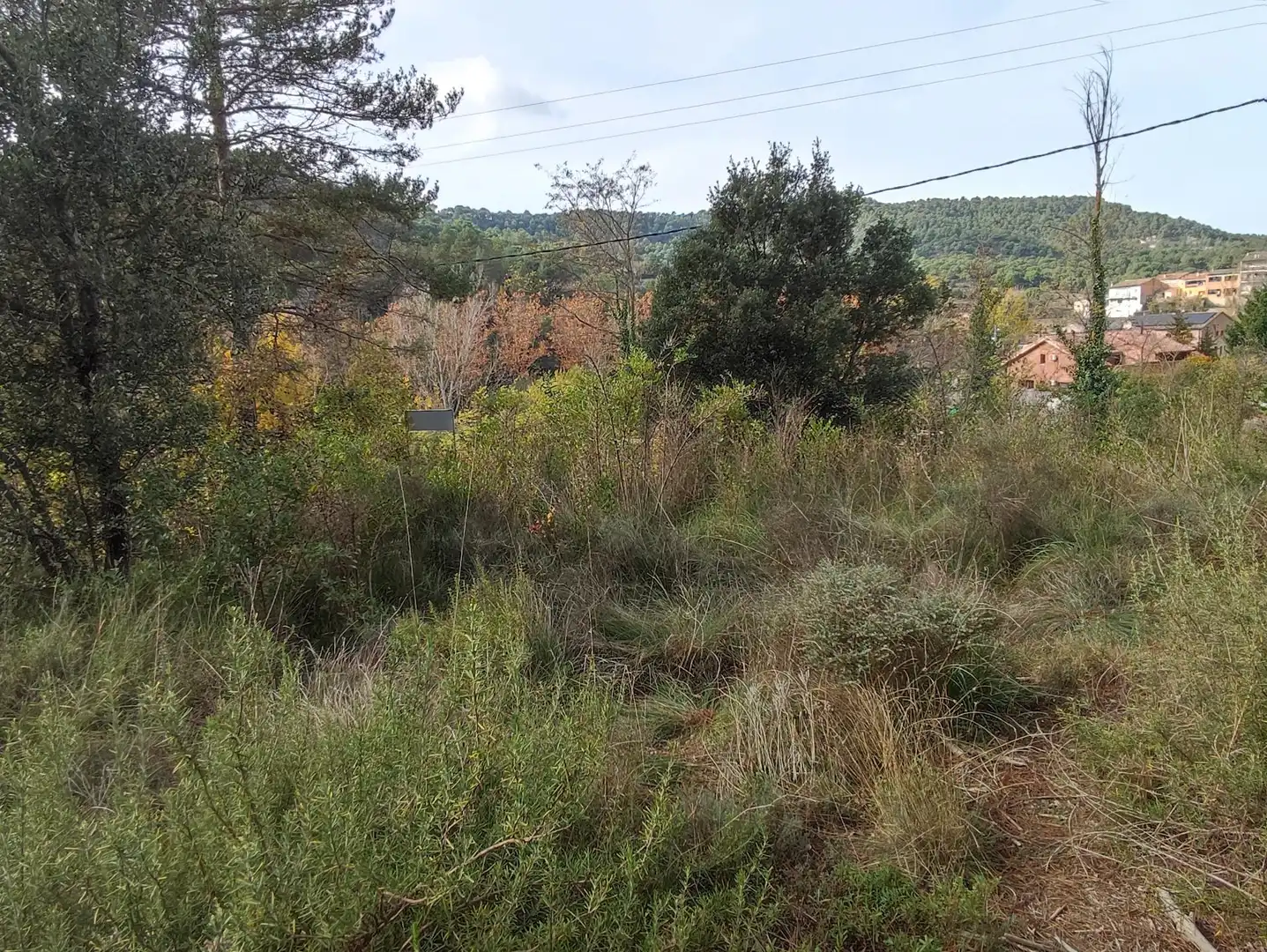 Terrain rustique à vendre à Monistrol de Calders, imagen 29