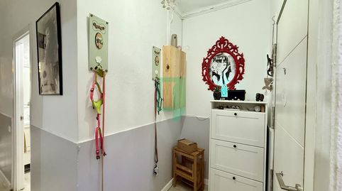 Foto 5 de Planta baixa en venda a Del Canigó, Progrés - Pep Ventura, Badalona