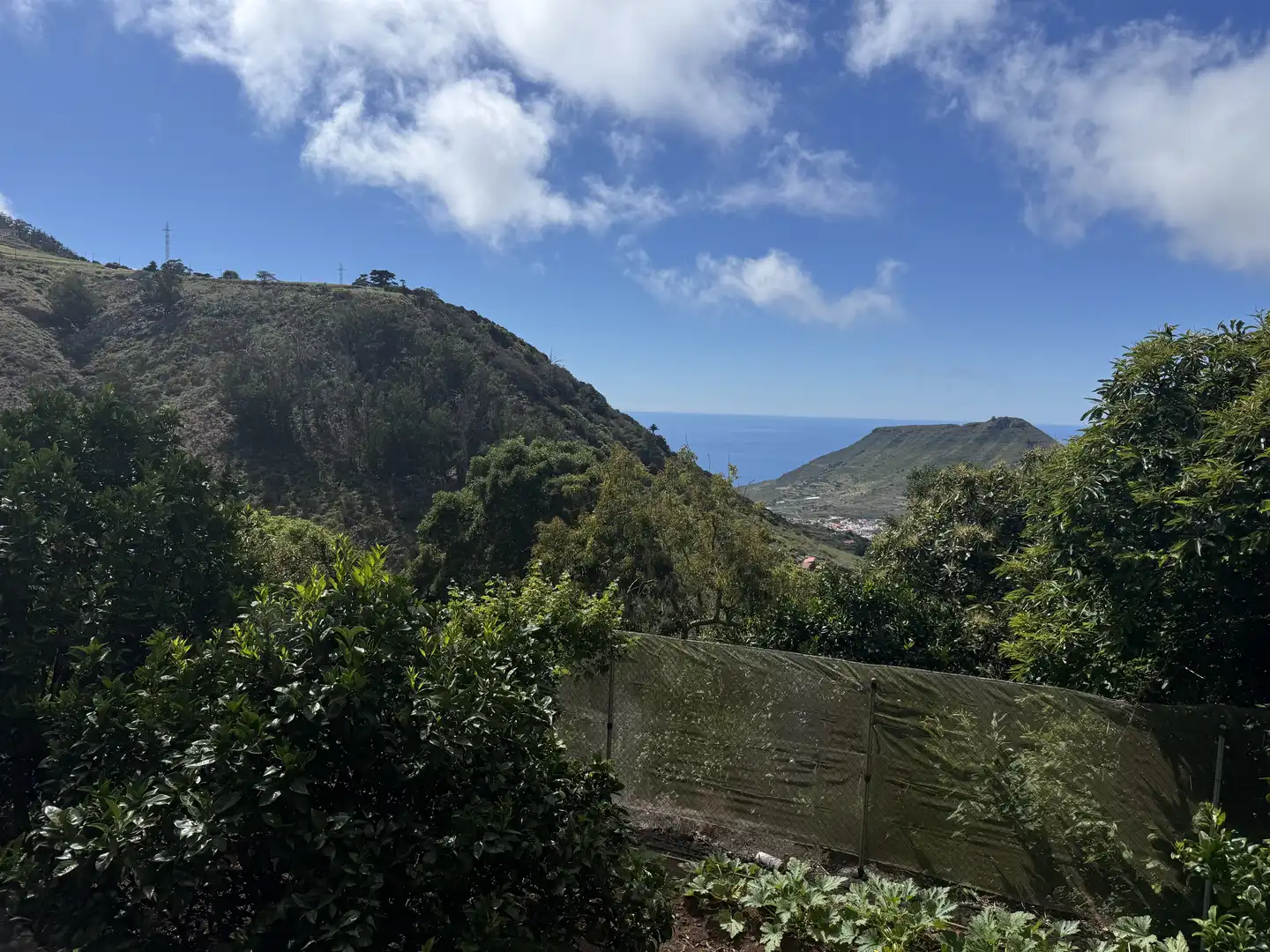 Rural land for sale in Tegueste, imagen 37