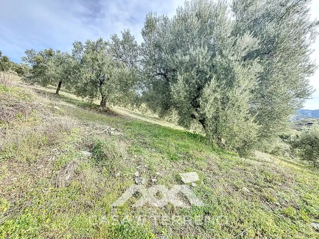Terreni e lotti in vendita a Poligono 3 Paraje 42 Casa Pinta, imagen 6