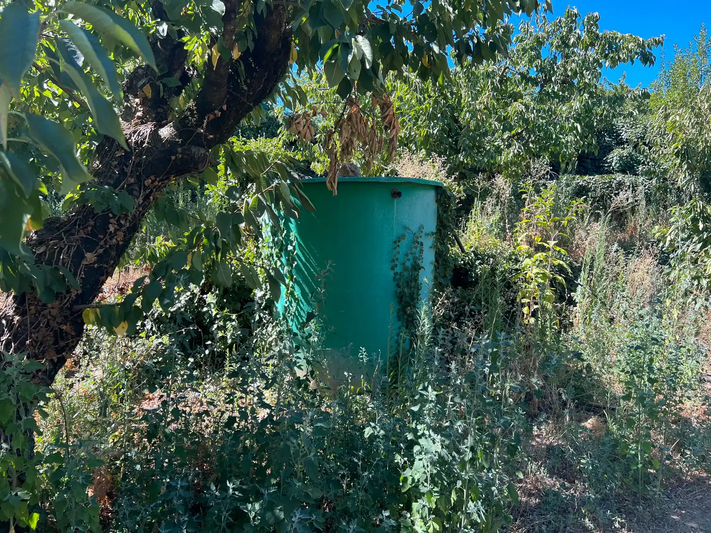 Terreni e lotti in vendita a Jaraíz de la Vera, imagen 8