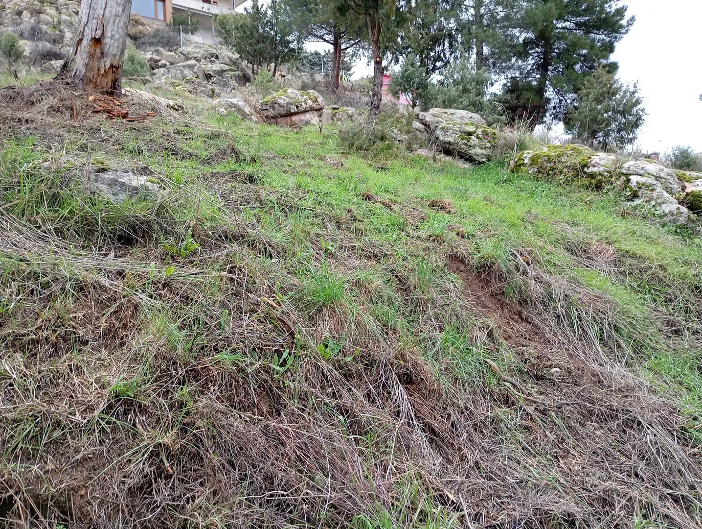 Terreni e lotti in vendita a Robledo de Chavela, imagen 9