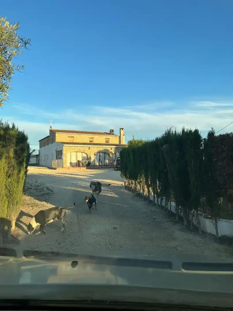 Vista exterior de Casa o chalet en venta en Benissa con Aire acondicionado y Piscina