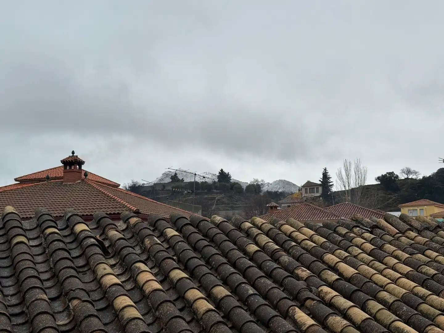 Exterior view of Houses for sale in Beas de Granada