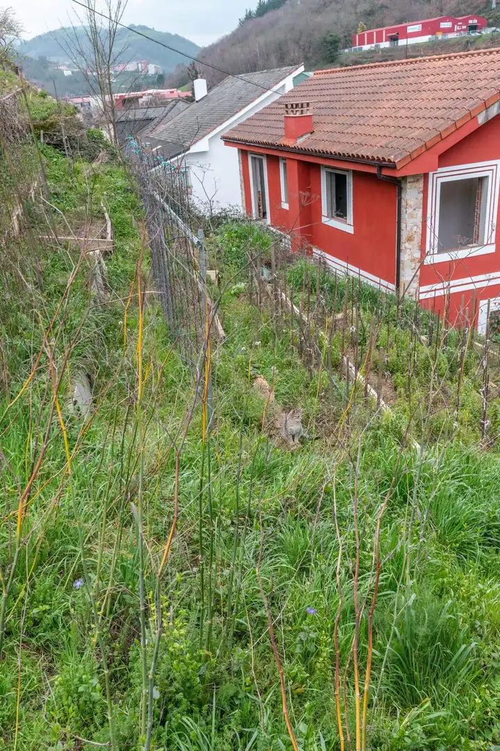 Jardí de Casa o xalet en venda en Cangas del Narcea amb Calefacció, Jardí privat i Terrassa