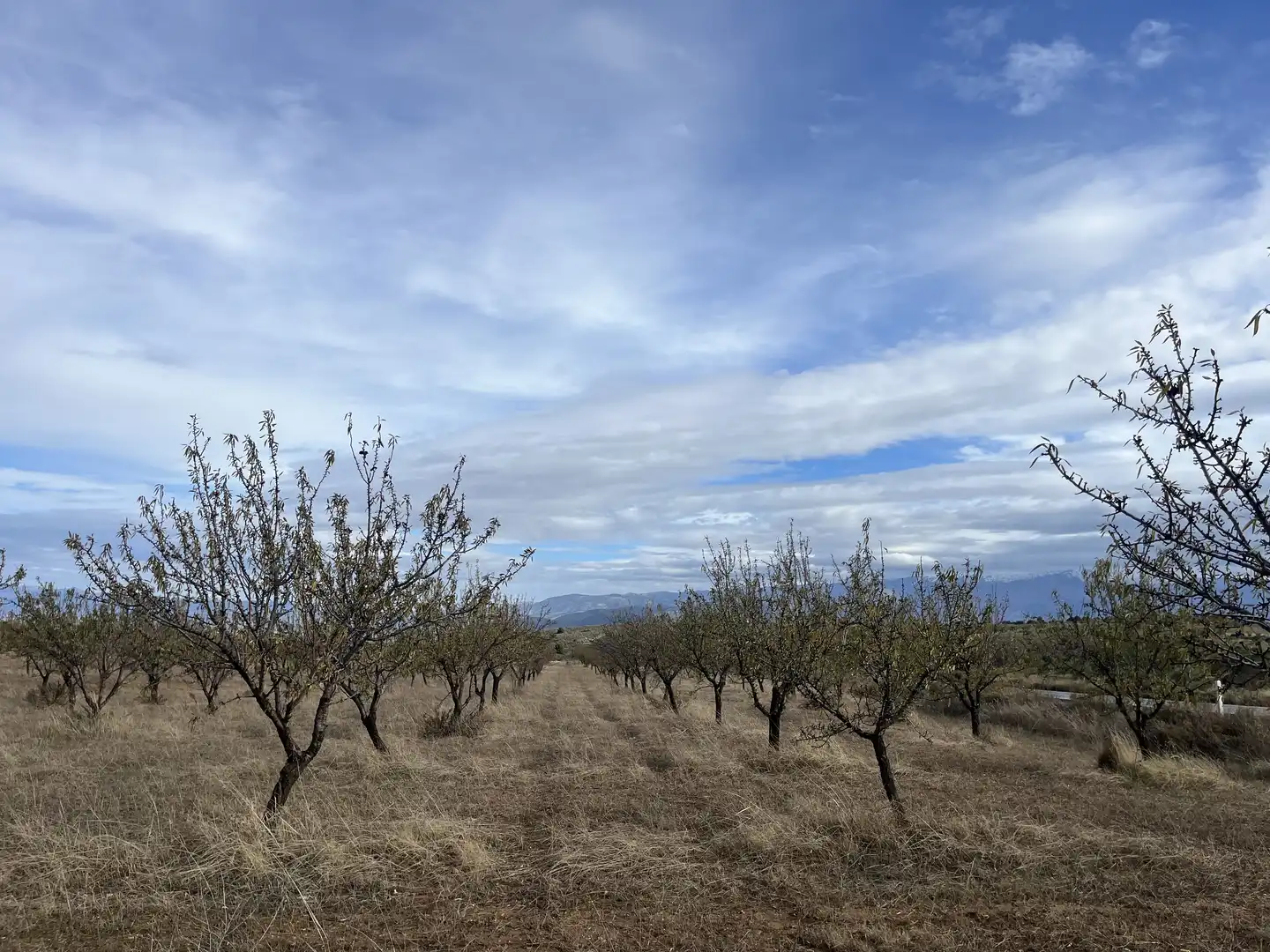 Rustikales Grundstück zum Verkauf in Avenida de Andalucía, imagen 11