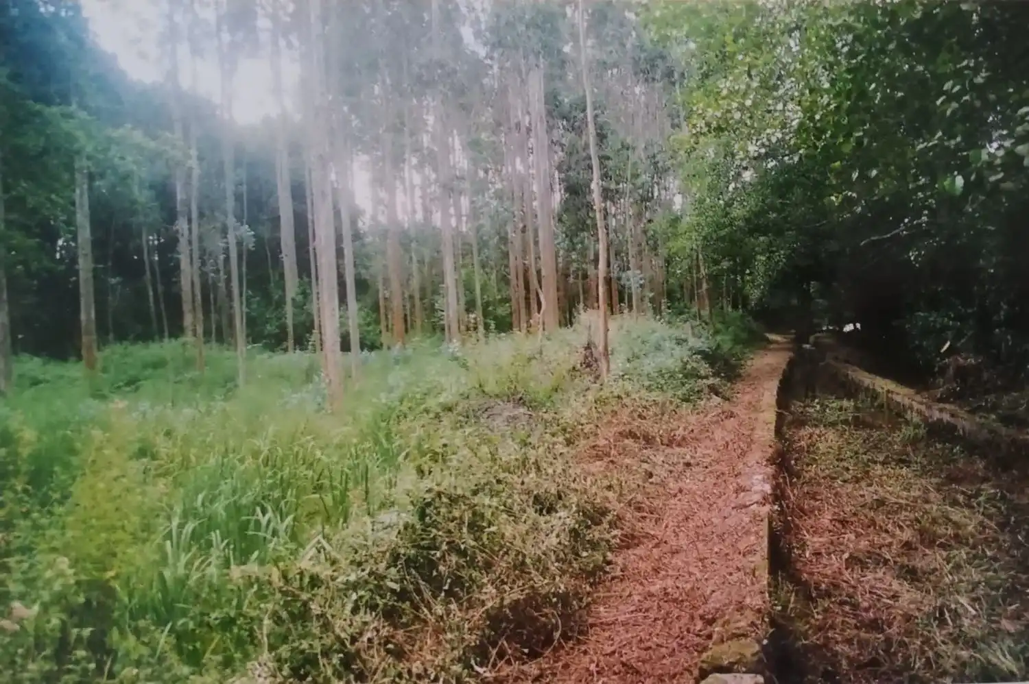 Finca rústica en venda en Ortigueira amb Jardí privat