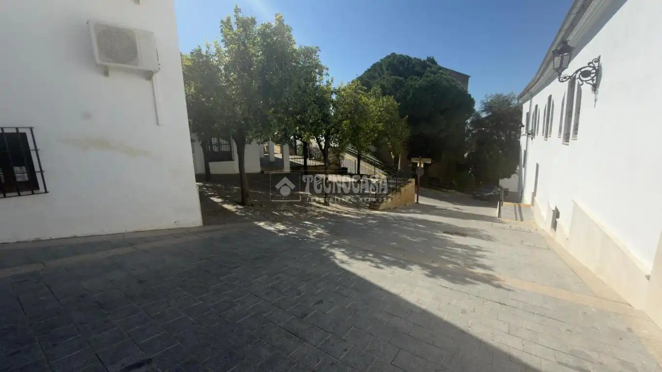 Vista exterior de Casa o chalet en venta en Osuna con Terraza