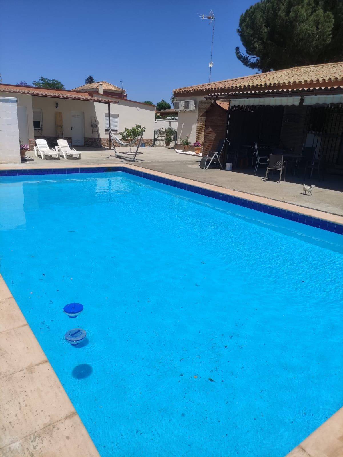 Swimming pool of House or chalet for sale in Alcalá de Guadaira  with Air Conditioner, Heating and Private garden