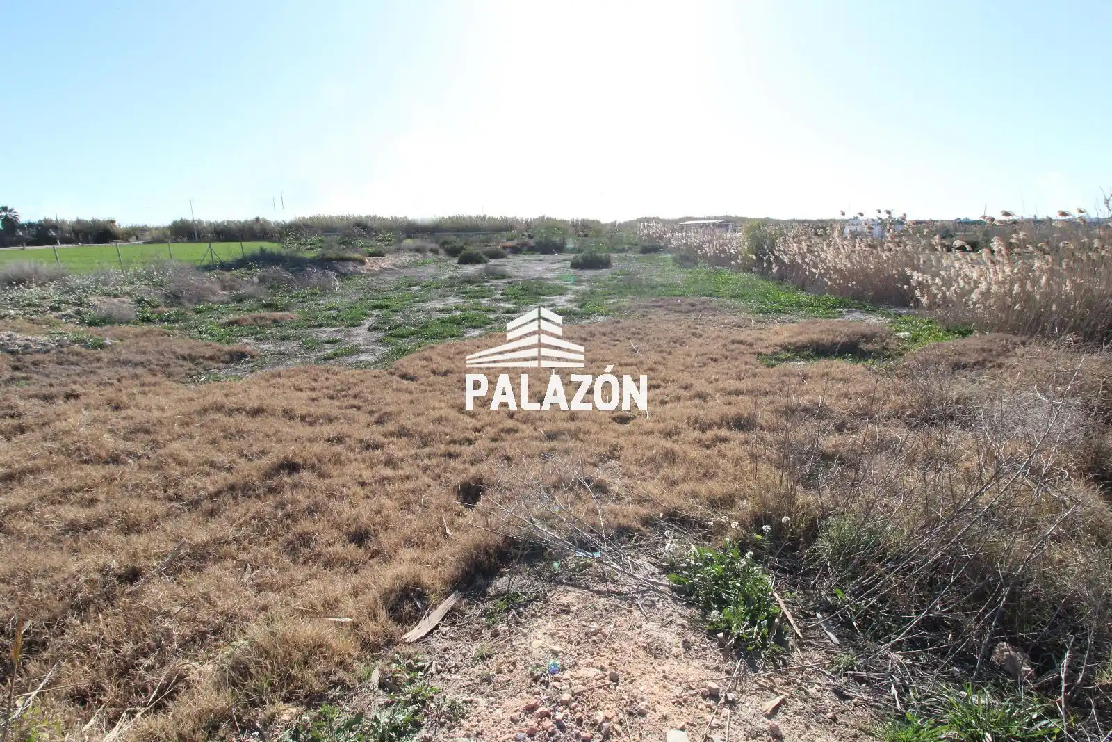 Terrain rustique à vendre à Catral, imagen 4