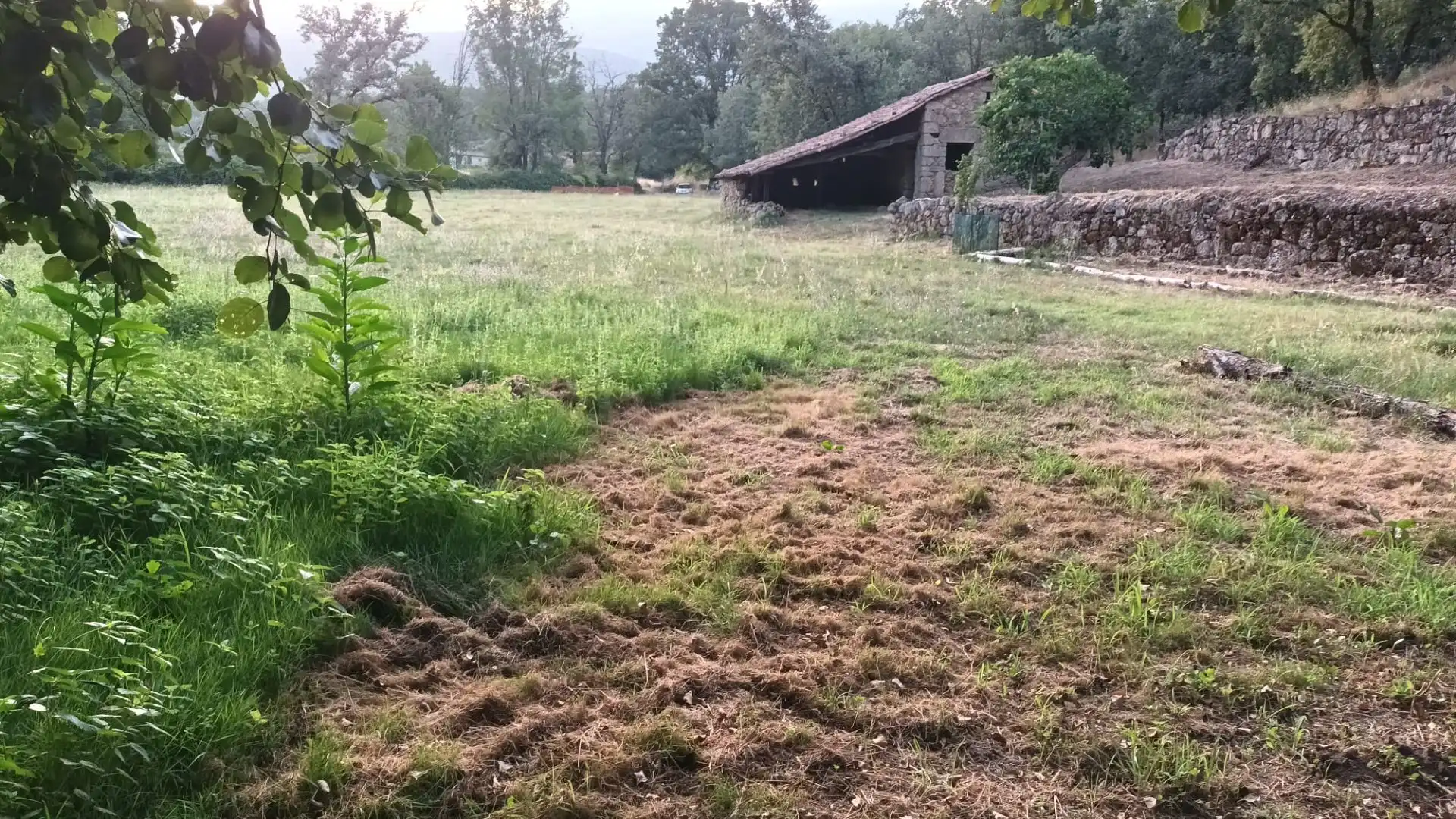 Terreni e lotti in vendita a Villanueva de la Vera, imagen 6