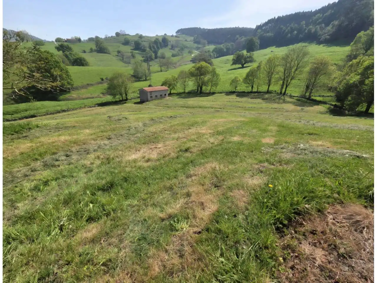 Terrain rustique à vendre à Calle argomeda, imagen 11