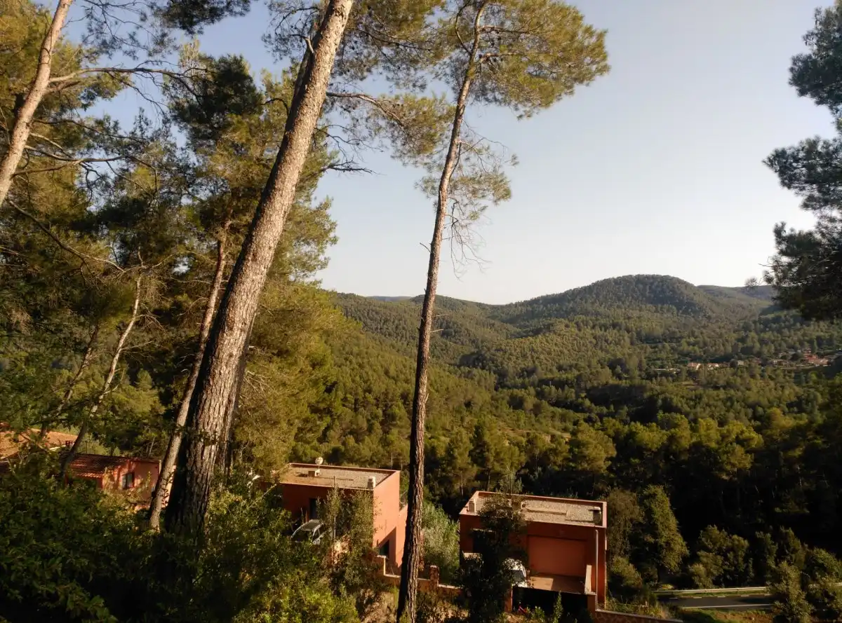 Terreni e lotti in vendita a Corbera de Llobregat, imagen 14