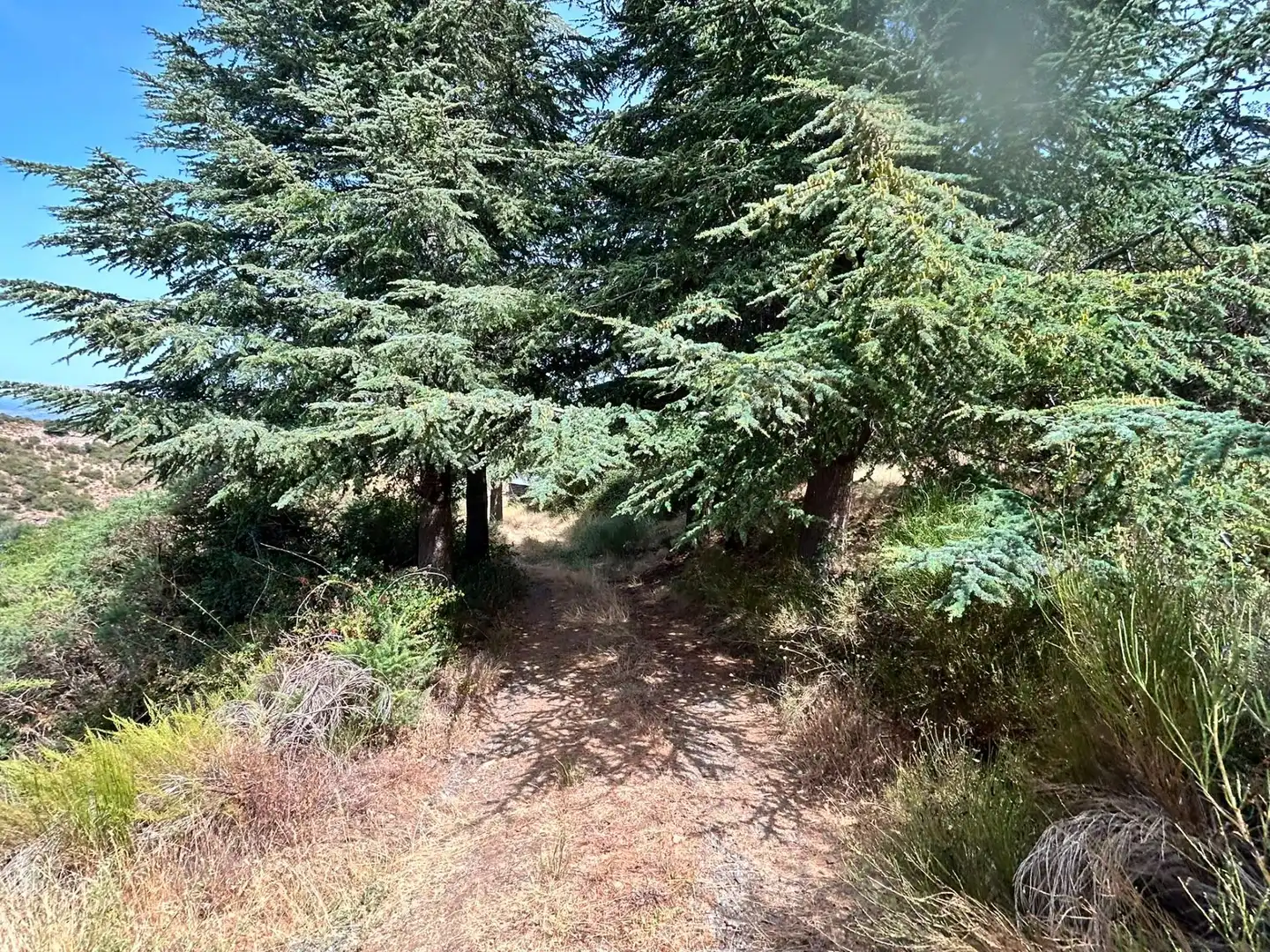 Terreno rústico en venta en Güéjar Sierra, imagen 16