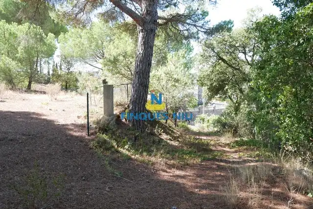 Terreno residencial en venta en Carrer Eucaliptus, imagen 22