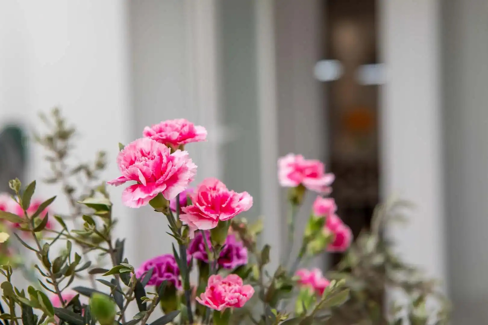 Garten von Wohnung zur Miete in Dénia mit Parkett und Möbliert