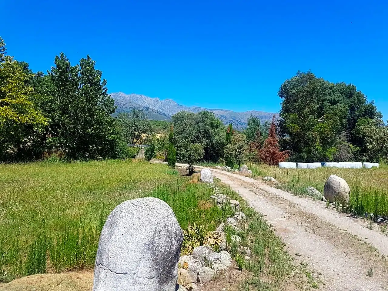 Finca rústica en venta en Madrigal De La Vera, 1, Candeleda