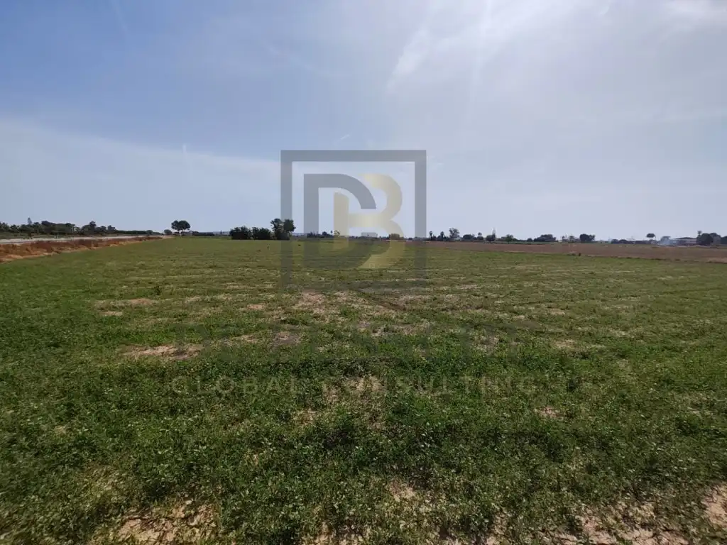 Finca rústica en venta en Dolores