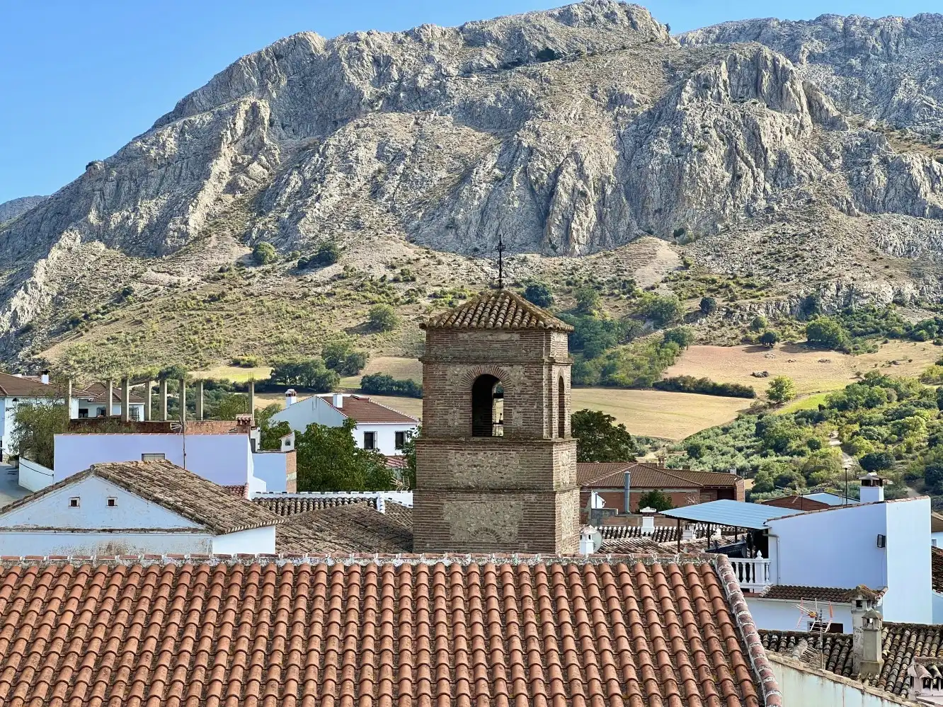 Houses for sale in Calle Padre Arnaiz, 1, Alfarnatejo