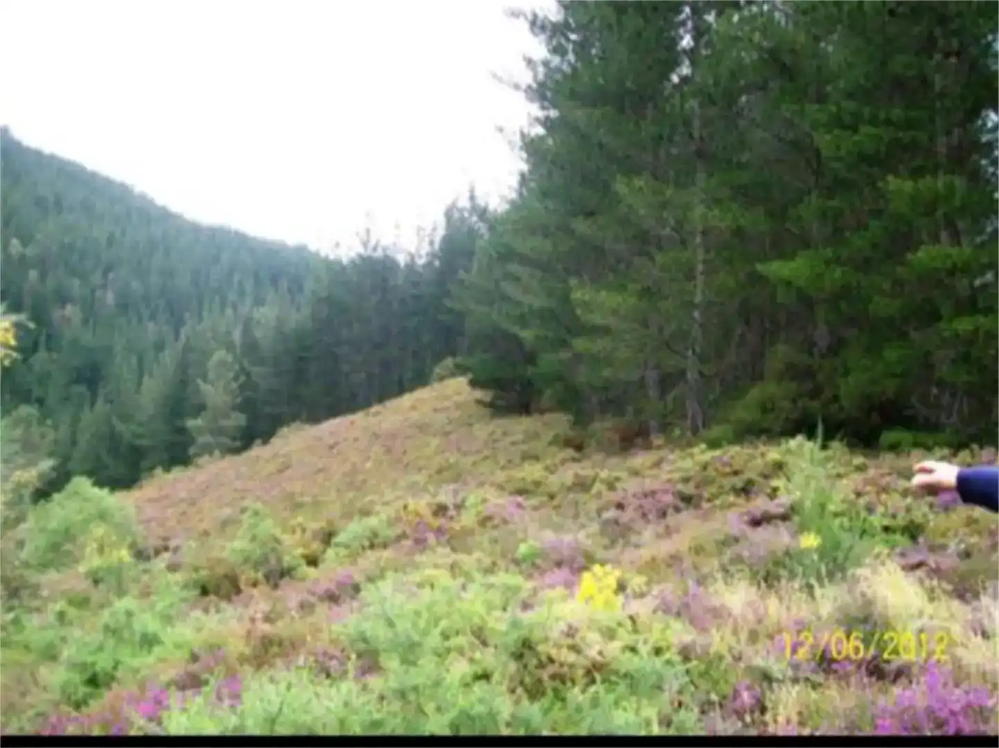 Grundstücke zum Verkauf in Baleira, Lugo
