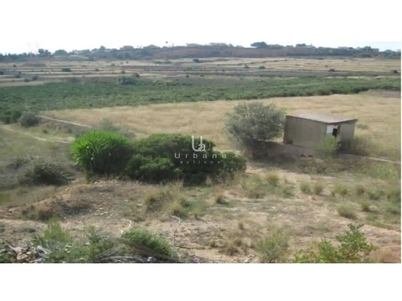 Terreno rústico en venta en Sector VERTXI XXI POLIGONO 7, imagen 3