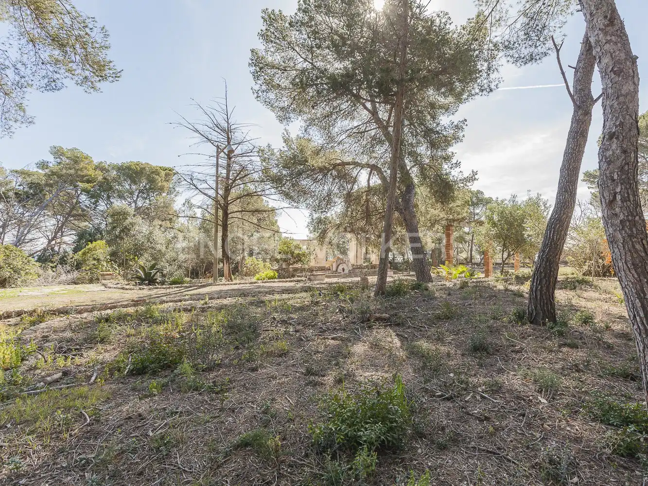 Maison à vendre à Passatge dels pins, imagen 18
