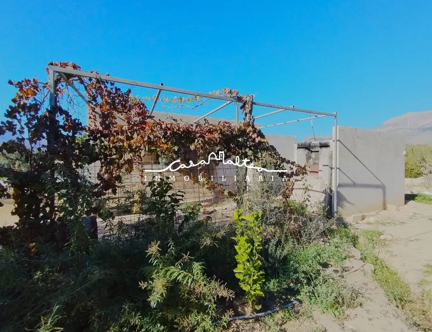 Rural land for sale in L'Olla, imagen 8
