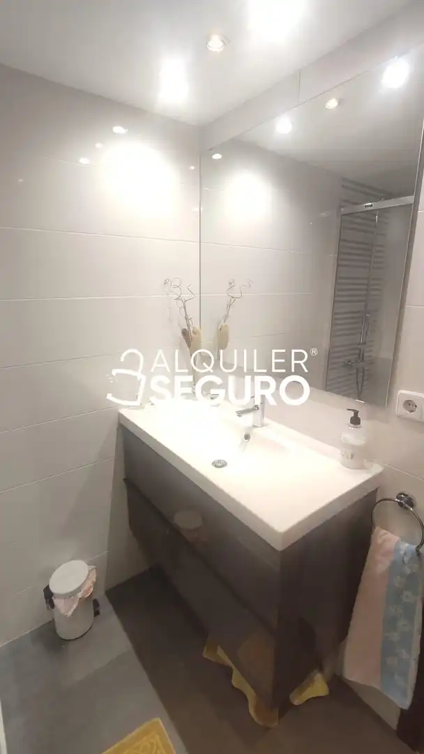 Bany de Pis de lloguer en Madrid amb Calefacció, Terrassa i Moblat