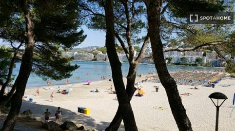 Photo 4 of Apartment to share in Costa de la Calma, Illes Balears