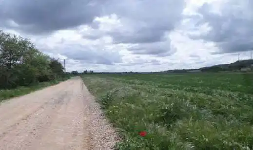 Rustikales Grundstück zum Verkauf in Sector 25, imagen 7
