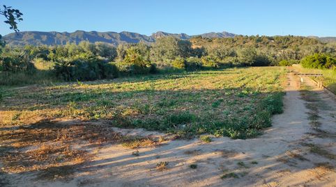 Photo 5 of Land for sale in Diseminado Poligon 4, 68, Xerta, Tarragona