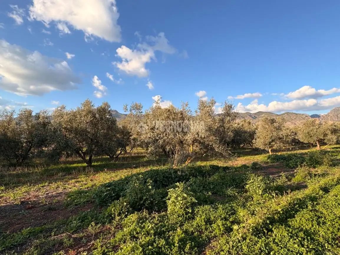 Rural land for sale in Dúrcal, imagen 5
