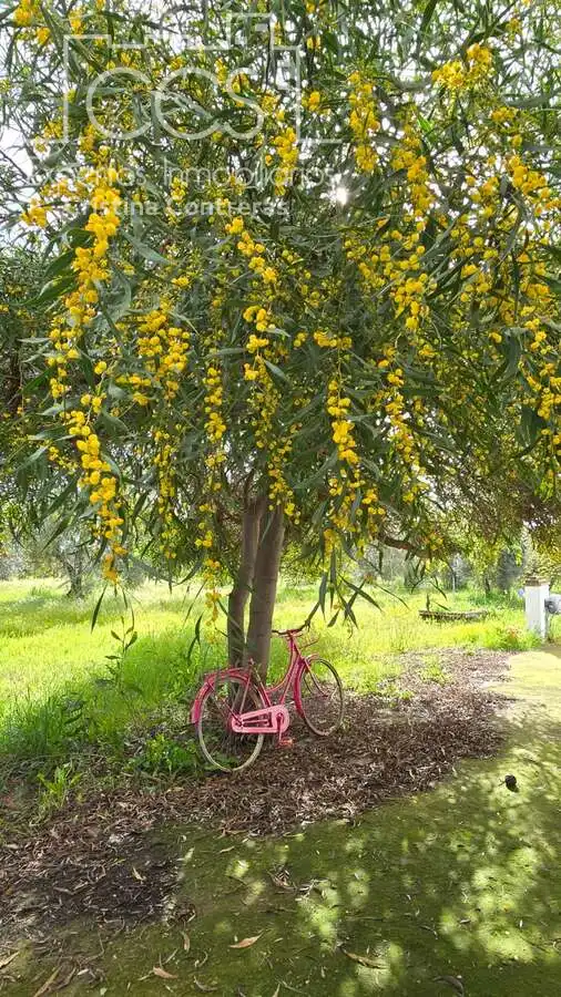 Garden of Country homes for sale in Pilas  with Air Conditioner, Terrace and Storage room