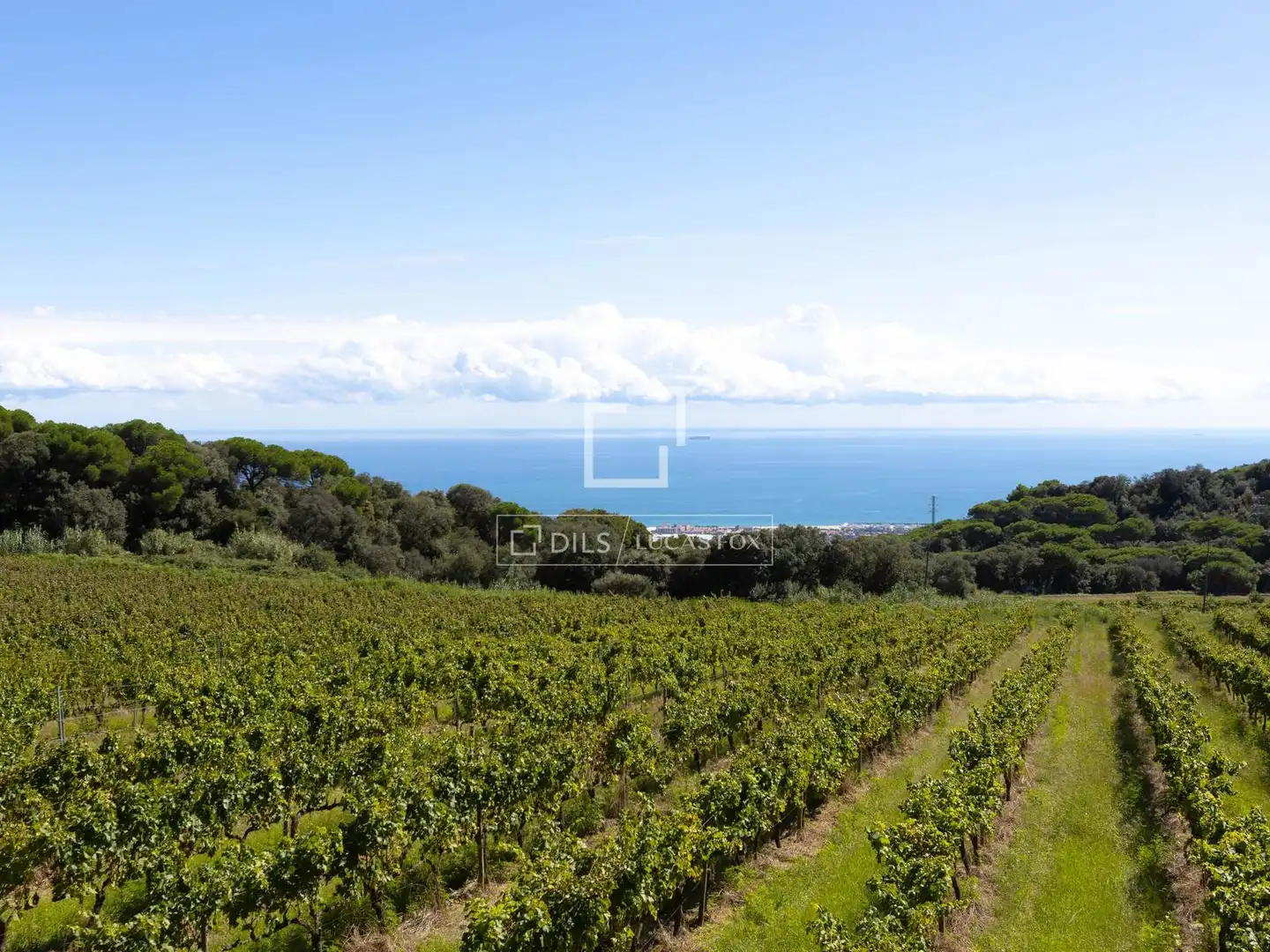 Finca rústica en venta en Vilassar de Dalt con Jardín privado