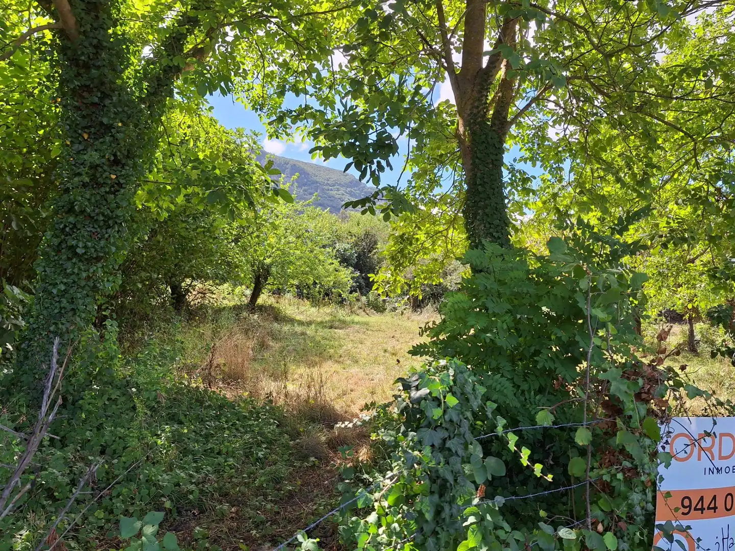 Terreni e lotti in vendita a siones, imagen 2