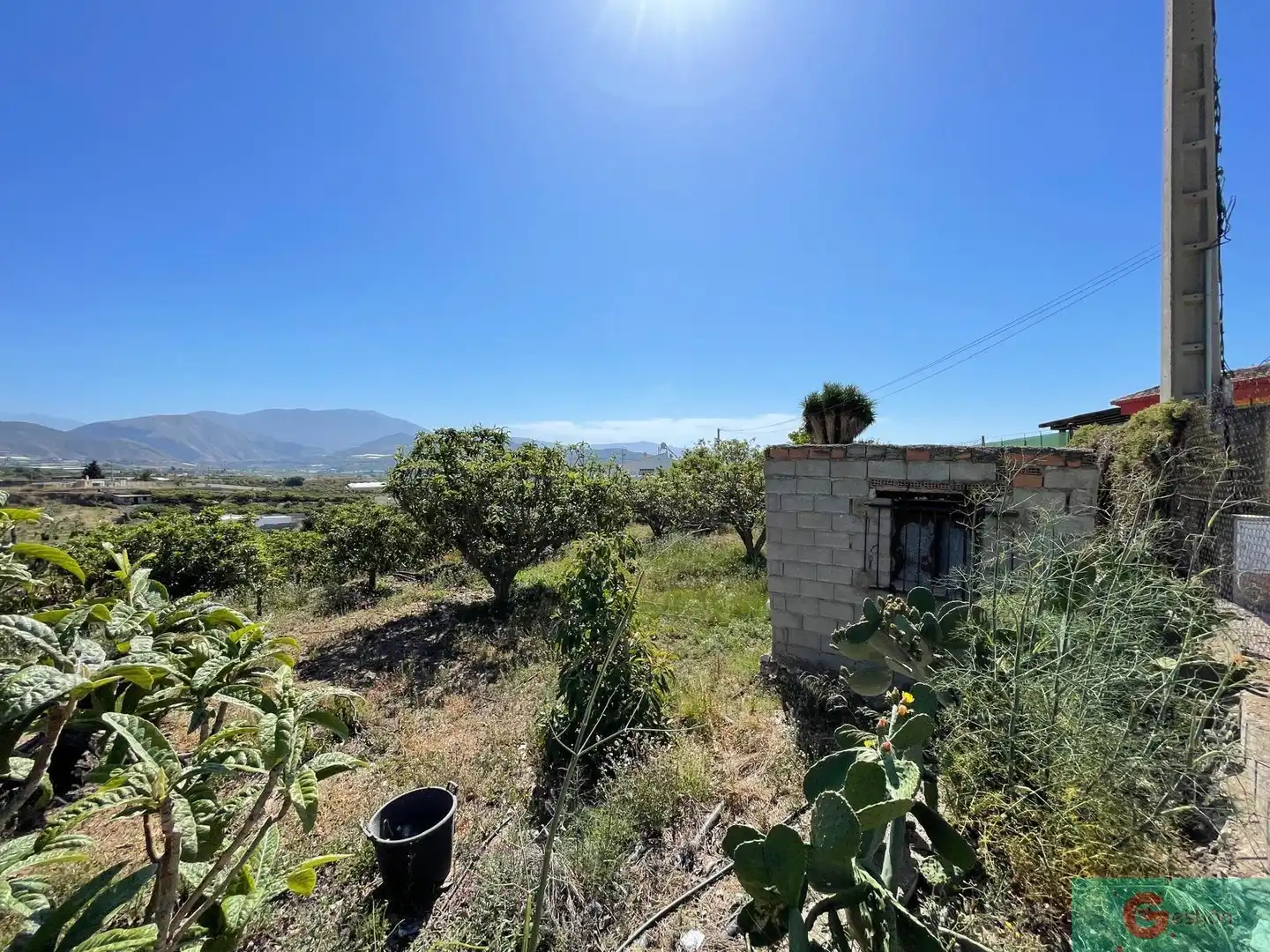 Maison rustique à vendre à Centro, imagen 10
