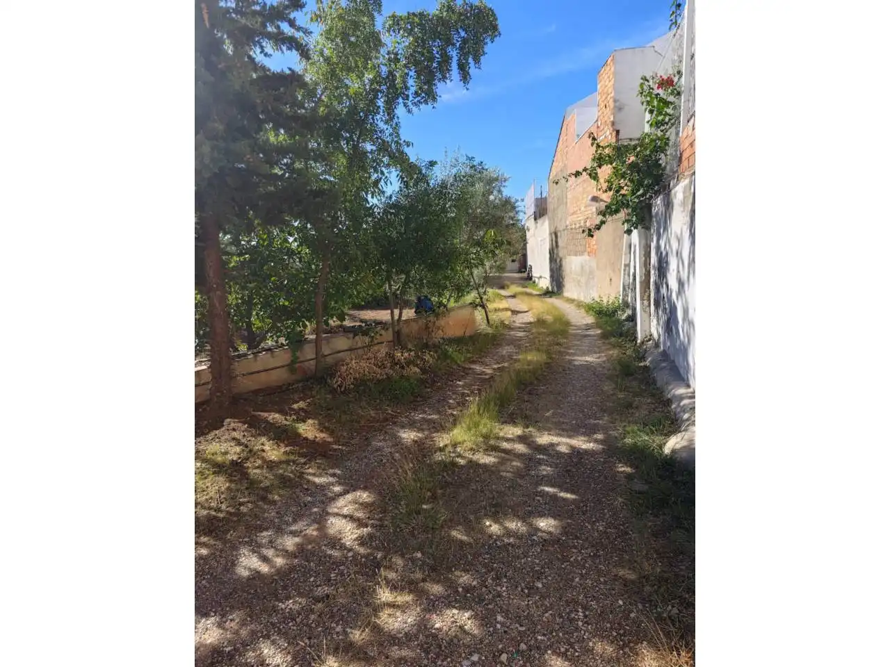 Terrain rustique à vendre à Paseo Vint-i-dos de Juliol, imagen 8
