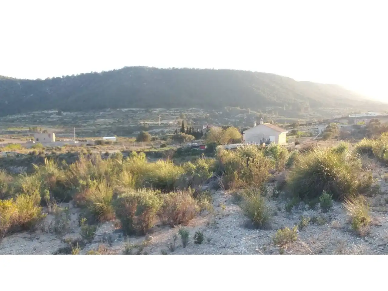 Lands and plots for sale in Ojós, imagen 13
