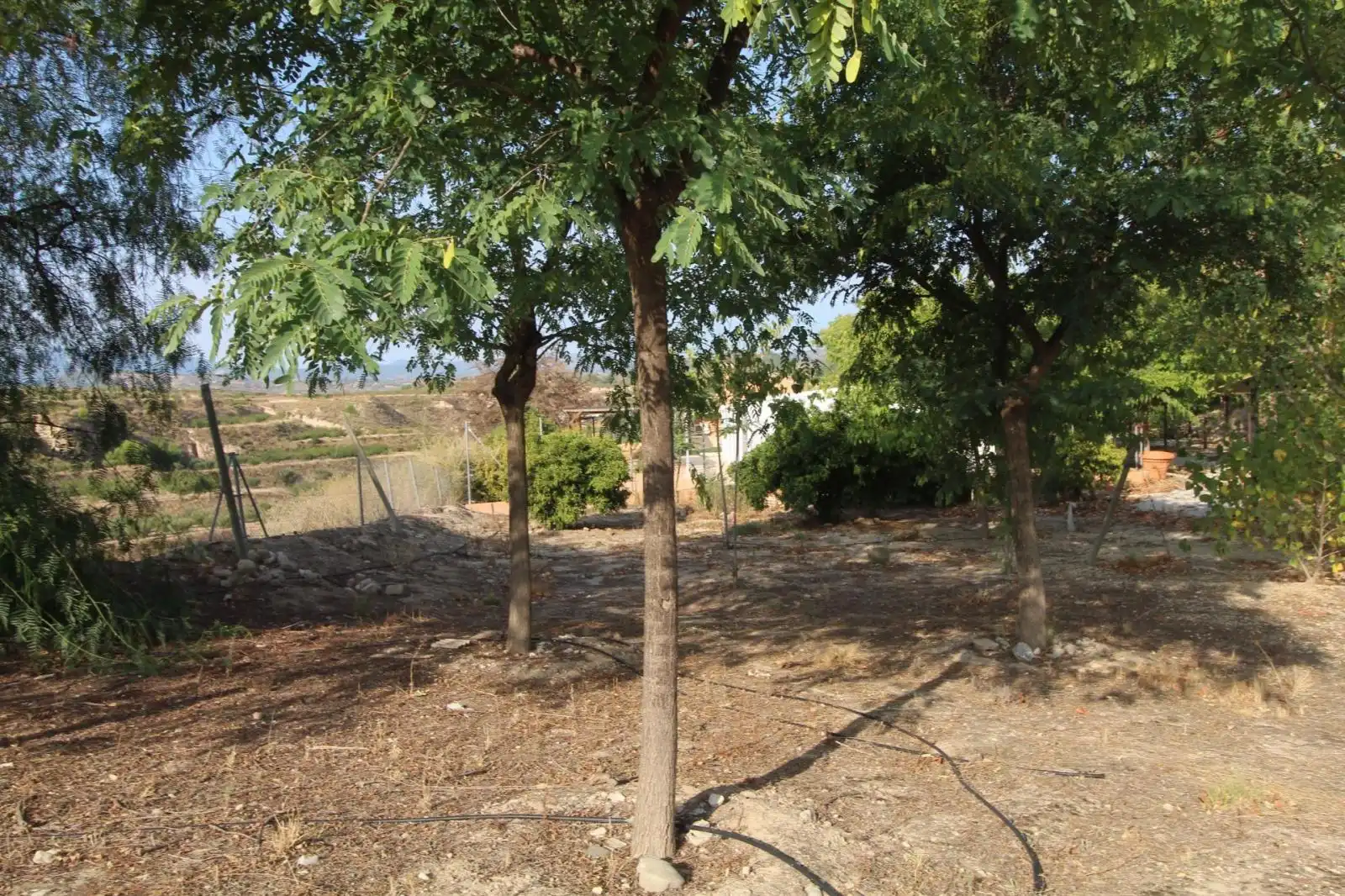 Casa o xalet en venda en Mula