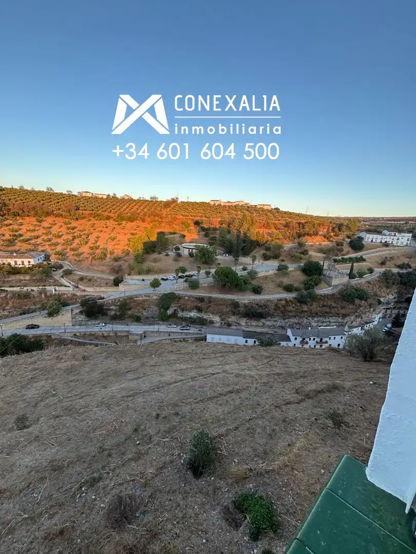 Appartement avec terrasse à vendre à Setenil de las Bodegas, imagen 34