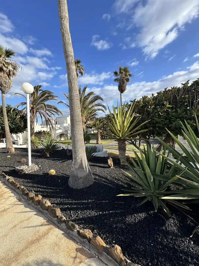 Apartament de lloguer a Llano del Poris., Arico